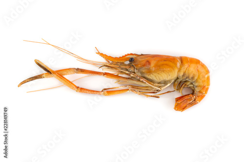 grilled shrimp isolated on white background