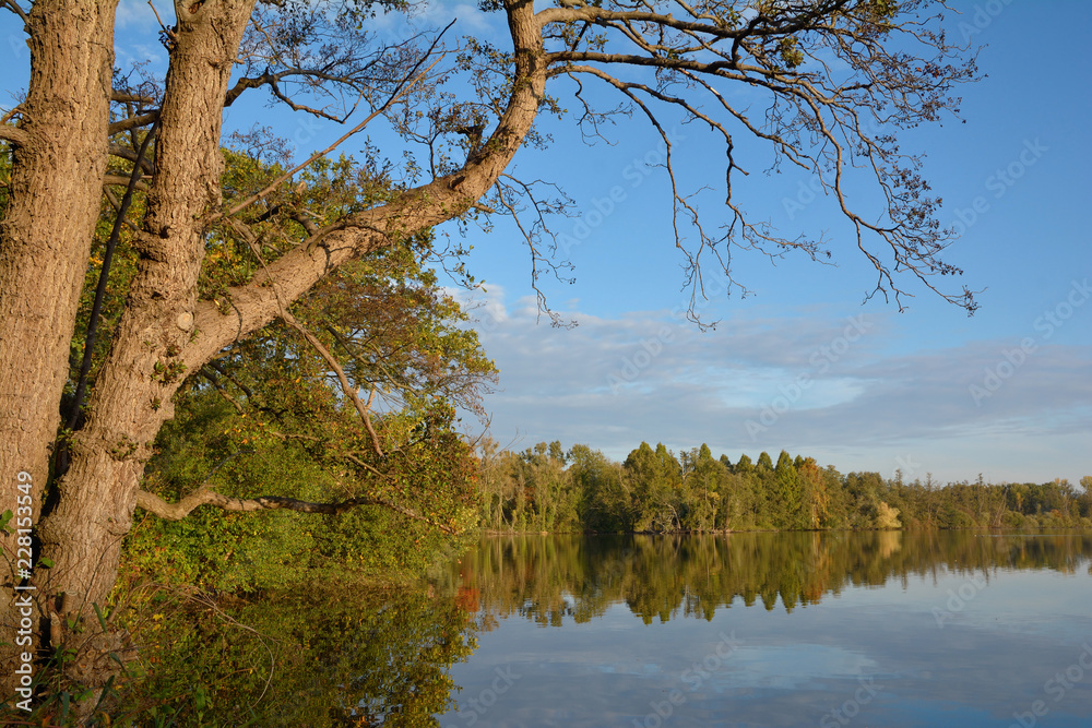 Obraz premium der Glabbacher Bruch,Teil der Krickenbecker Seen im Schwalm-Nette Naturpark,Niederrhein,Nordrhein-Westfalen,Deutschland