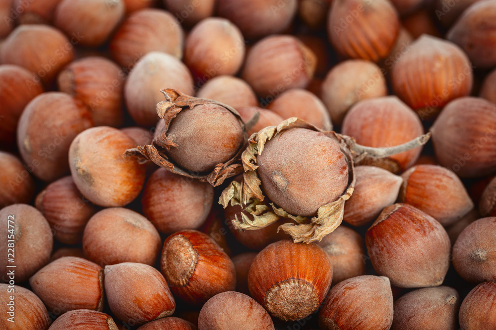 Two unpeeled hazelnuts lie on the background of other nuts. Two unpeeled hazelnuts lie on the background of other nuts.
