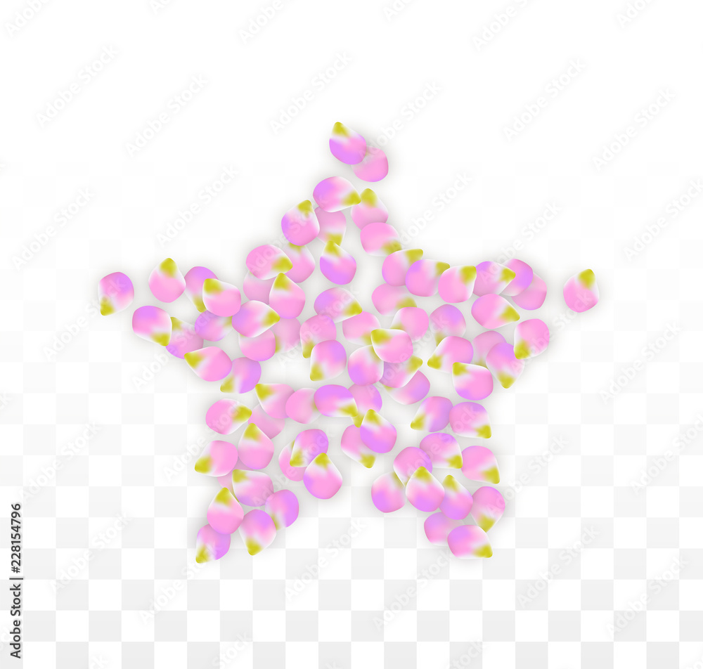 Vector Realistic Pink Petals Falling on Transparent Background.  Spring Romantic Flowers Illustration. Flying Petals. Sakura Spa Design. Blossom Confetti.