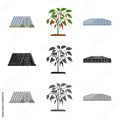 Isolated object of greenhouse and plant icon. Collection of greenhouse and garden stock symbol for web.