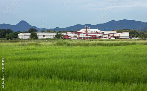 factory agriculture and the blue sky with rural area rice fields