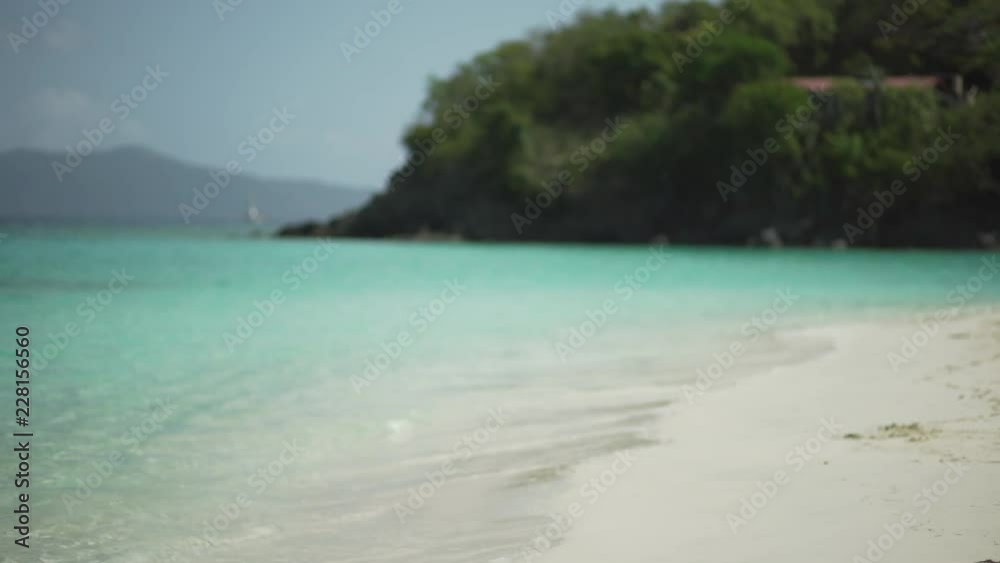 Background Plate of Out of focus Caribbean water with a tropical forest Background Plate of Out of focus Caribbean water with a tropical forest