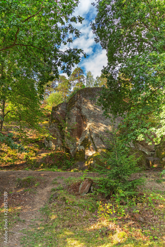 Beautiful view in Monrepos park outside  Vyborg  Russia. August 2018. Landscape.