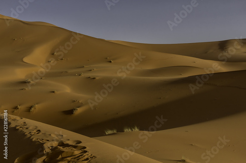 sand dunes in the desert