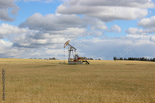 tractor in the field