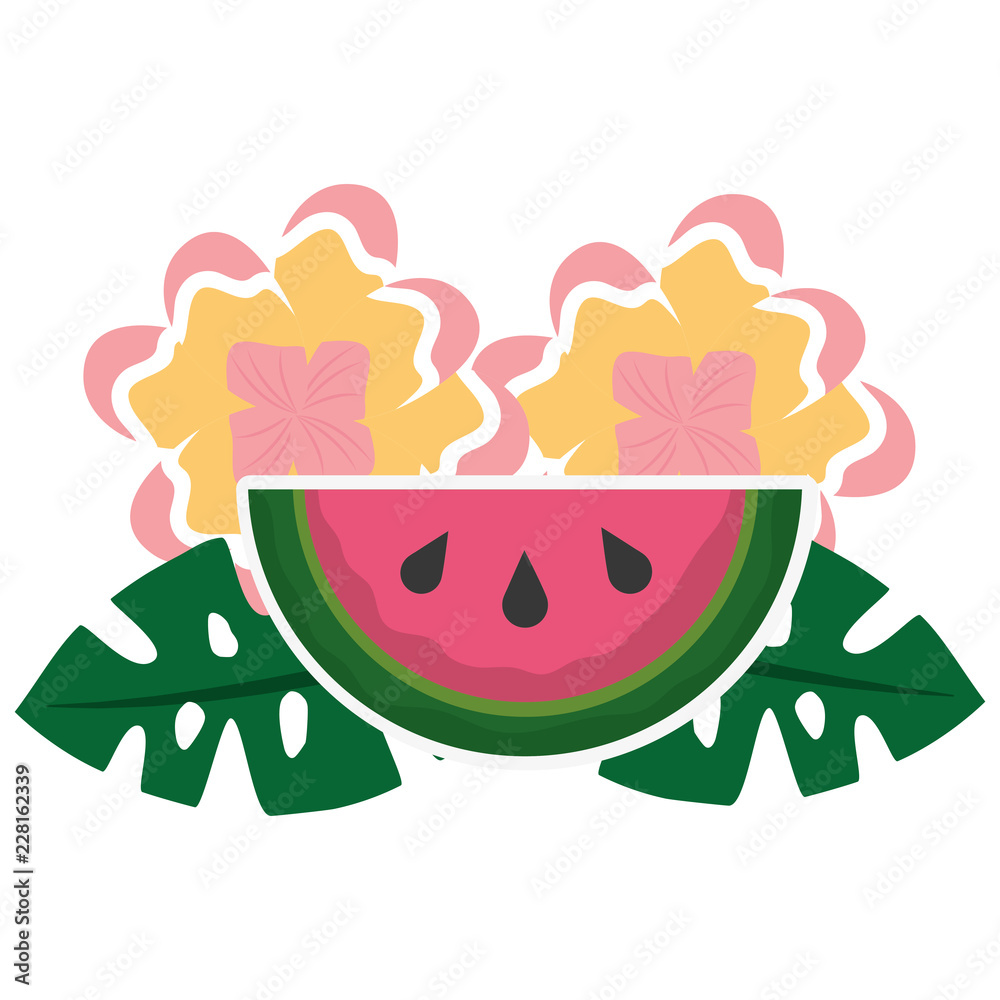 Fototapeta premium watermelon flowers leaves tropical summer
