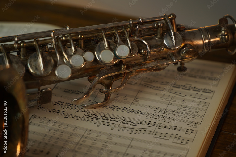 Obraz premium Altsaxophon