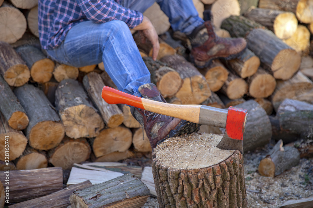 Axe in stump. Axe ready for cutting timber.Woodworking tool. Lumberjack axe in wood, chopping timber. Axe in stump. Axe ready for cutting timber.Woodworking tool. Lumberjack axe in wood, chopping timber.