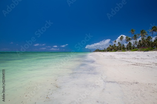 Zanzibar  landscape sea