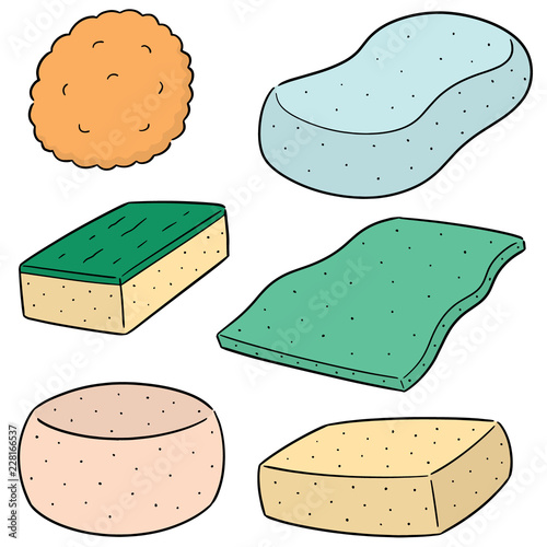 vector set of sponge