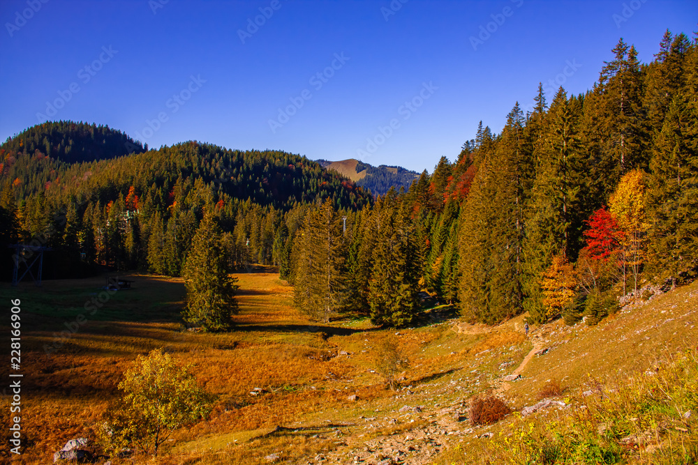 The joy of autumn colors in the Bavarian mountains.