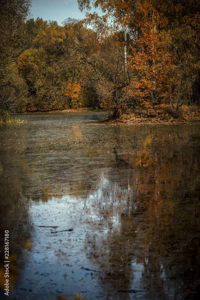 Fototapeta premium lake