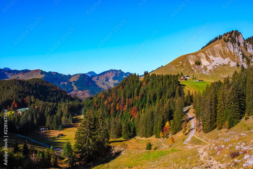 Obraz premium The joy of autumn colors in the Bavarian mountains.