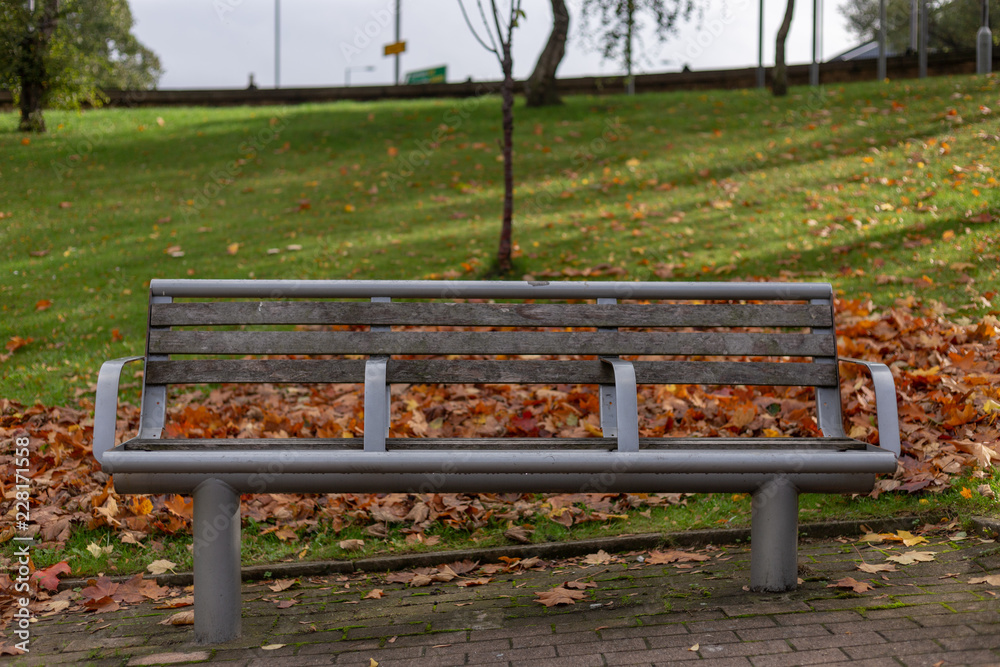 An empty bench during autumn weather. An empty bench during autumn weather.