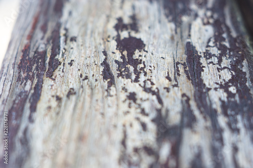 texture of the painted shabby wooden benches made of boards, grunge background