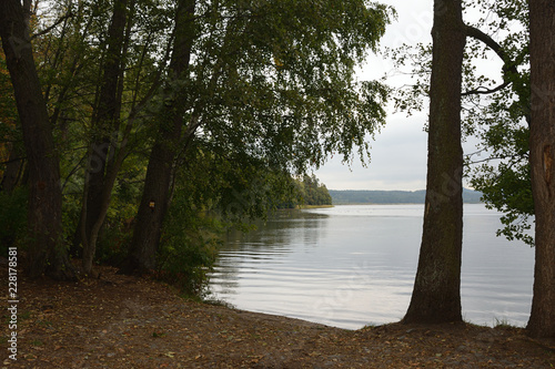Fototapeta Naklejka Na Ścianę i Meble -  Brehynsky rybnik pond with trees in czech Machuv kraj region on 28th September 2018
