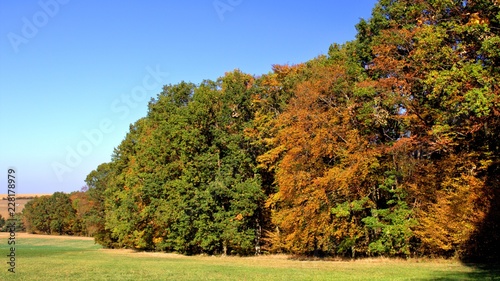 autumn in the park