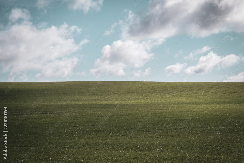 Fototapeta premium Green field with slightly cloudy sky