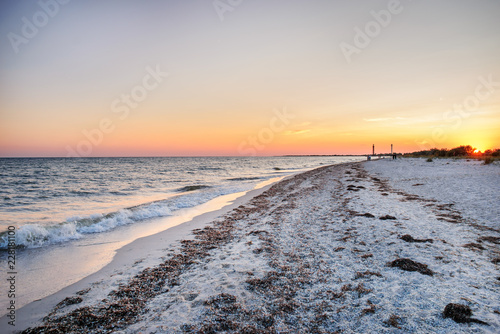 Fototapeta Naklejka Na Ścianę i Meble -  a wild beach and a pigeon sea water on a lovely sunny day