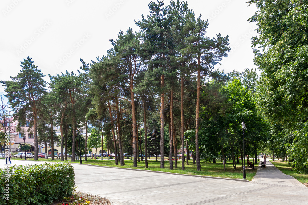 park in Dmitrov