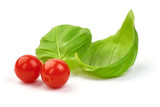 Basil Leaves with Physalia berries, closeup, isolated on a white background