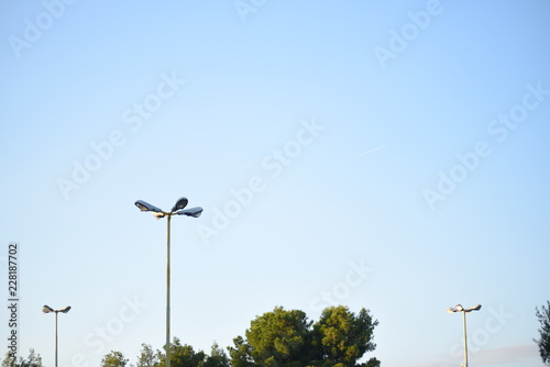 CIELO