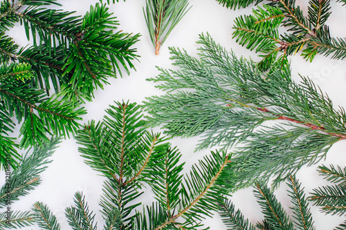 Winter holidays and Christmas background with fir branch and pine. Holiday concept. Flat lay  top view