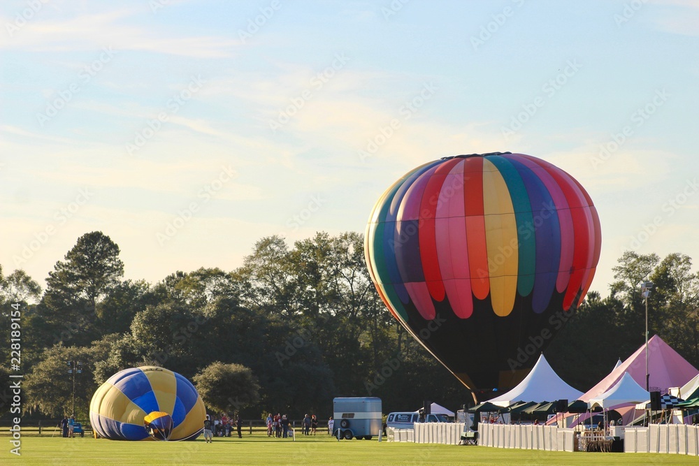 Obraz premium Hot Air Balloon Festival 