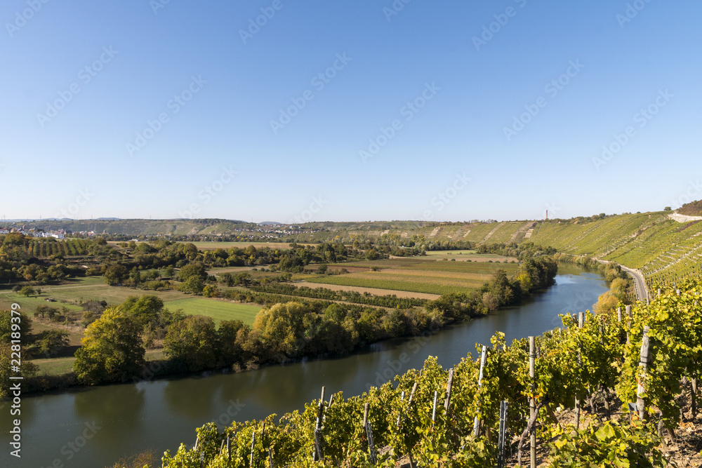 Fototapeta premium View over the Neckar valley from the rock gardens with blue sky