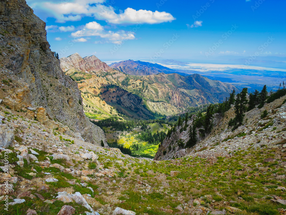 Fototapeta premium Mountain View