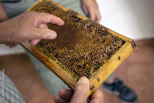 full sweet honey in honeycomb