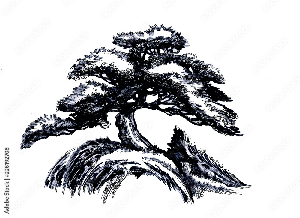 Fototapeta premium Bonsai tree, Ink drawing.