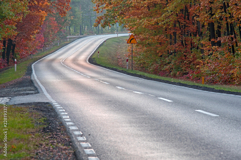 Fototapeta premium Asfaltowa droga w jesiennym lesie.