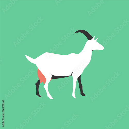 Isolated flat goat. Farm animal cartoon character.