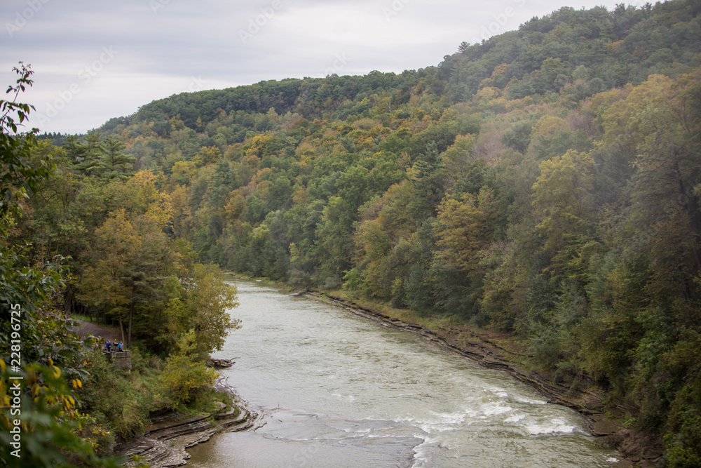 River River