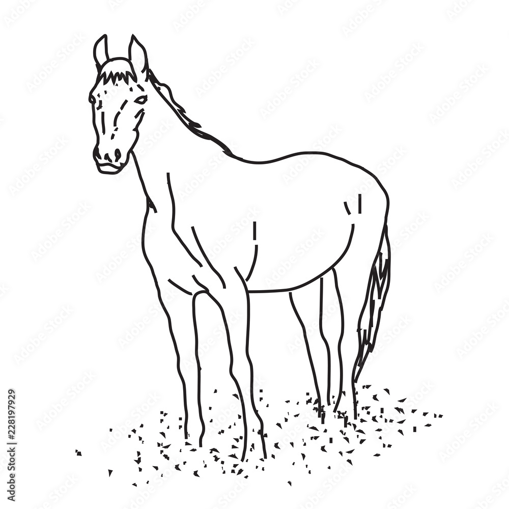 Obraz premium Лошадь