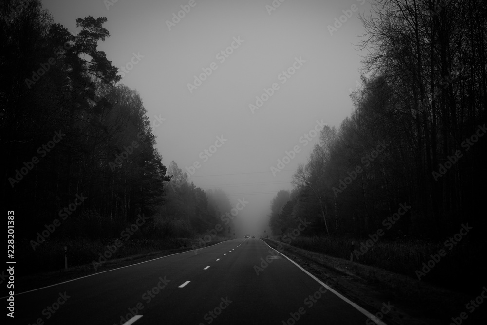 Asphalt road with trees and fog in rich black and white with a bit of grain.