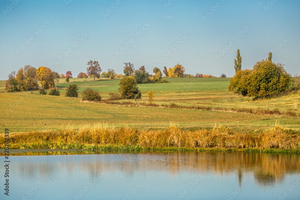 Bright sunny day, clear blue sky, rural countryside, brown field with hay, bushes, green and yellow trees, blue water lake in foreground, reflection of tree in water