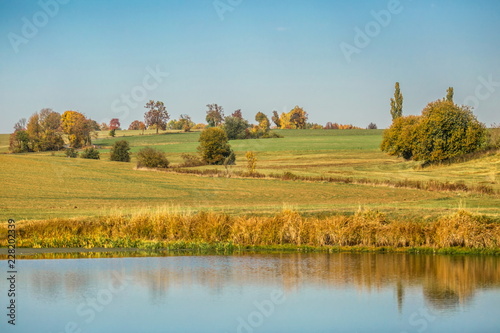 Obraz na płótnie Bright sunny day, clear blue sky, rural countryside, brown field with hay, bushes, green and yellow trees, blue water lake in foreground, reflection of tree in water w salonie