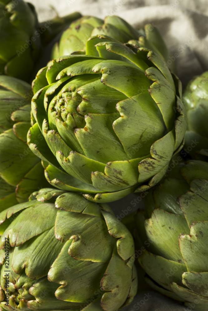 Fototapeta premium Raw Organic Green Artichokes