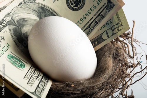 Canvas Print White Egg and Money in Nest Egg - Close Up