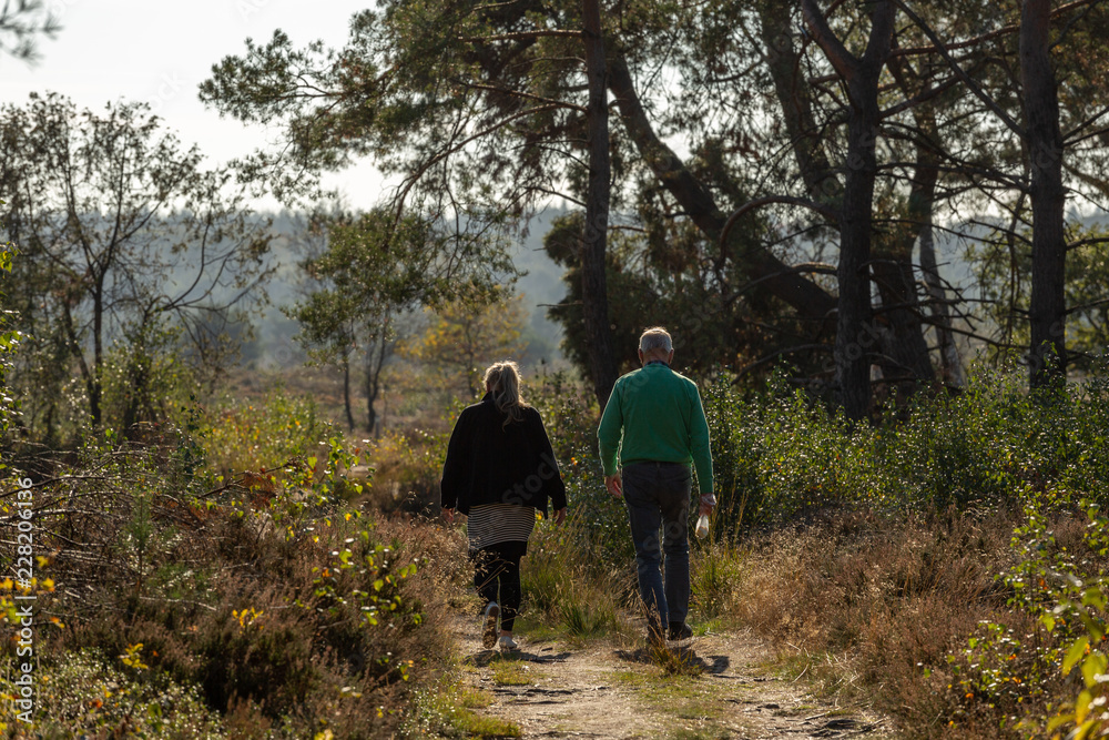 Couple walking together on a pathway amidst a moorland and forest Couple walking together on a pathway amidst a moorland and forest