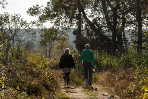 Obraz na plátně Couple walking together on a pathway amidst a moorland and forest