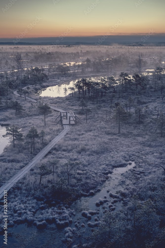 Obraz premium Wooden path, road in swamp on early winter morning with frozen trees and grass. Kemeri national park at sunrise with thick fog, Latvia. Vintage look.