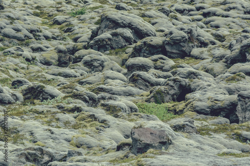 Soft carpet of moss covered stones in Iceland, in summer, vintage effect with some grain