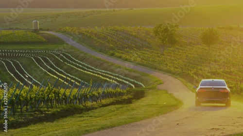 Car driving on a wine route in a beautiful sunset light photo