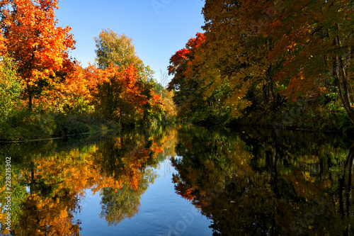 Bright autumn trees with their reflection in water