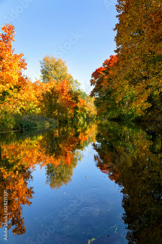 Bright autumn trees with their reflection in water. Vertical image