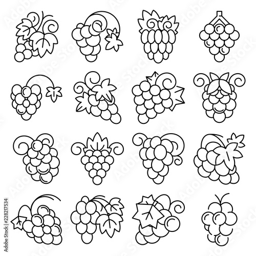 Grape fruit icon set. Outline set of grape fruit vector icons for web design isolated on white background